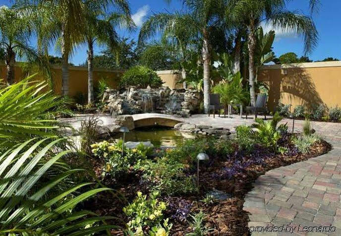 Courtyard Tampa Oldsmar Hotel Exterior foto
